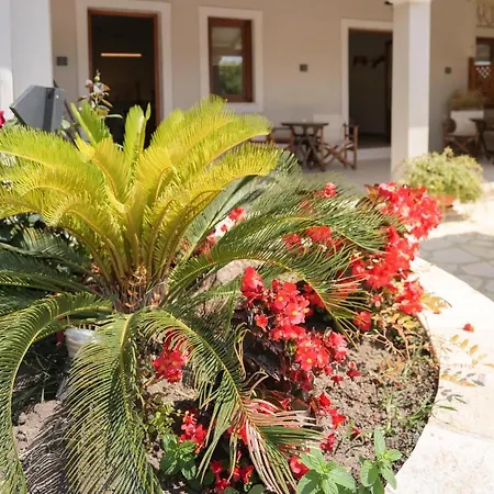 Apartament Mirabilia Deluxe